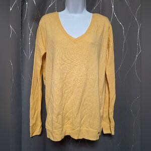 American Eagle V-neck Sweater